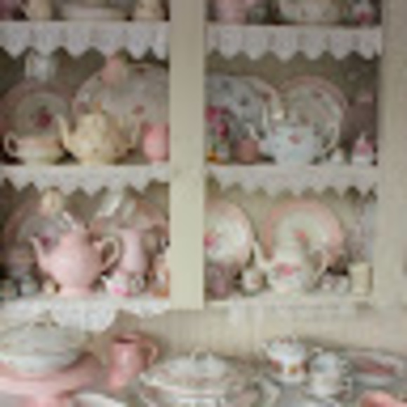 Meet your Posher, Oscar - Picture 1 of 1